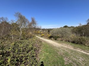 Upton Heath- click for photo gallery